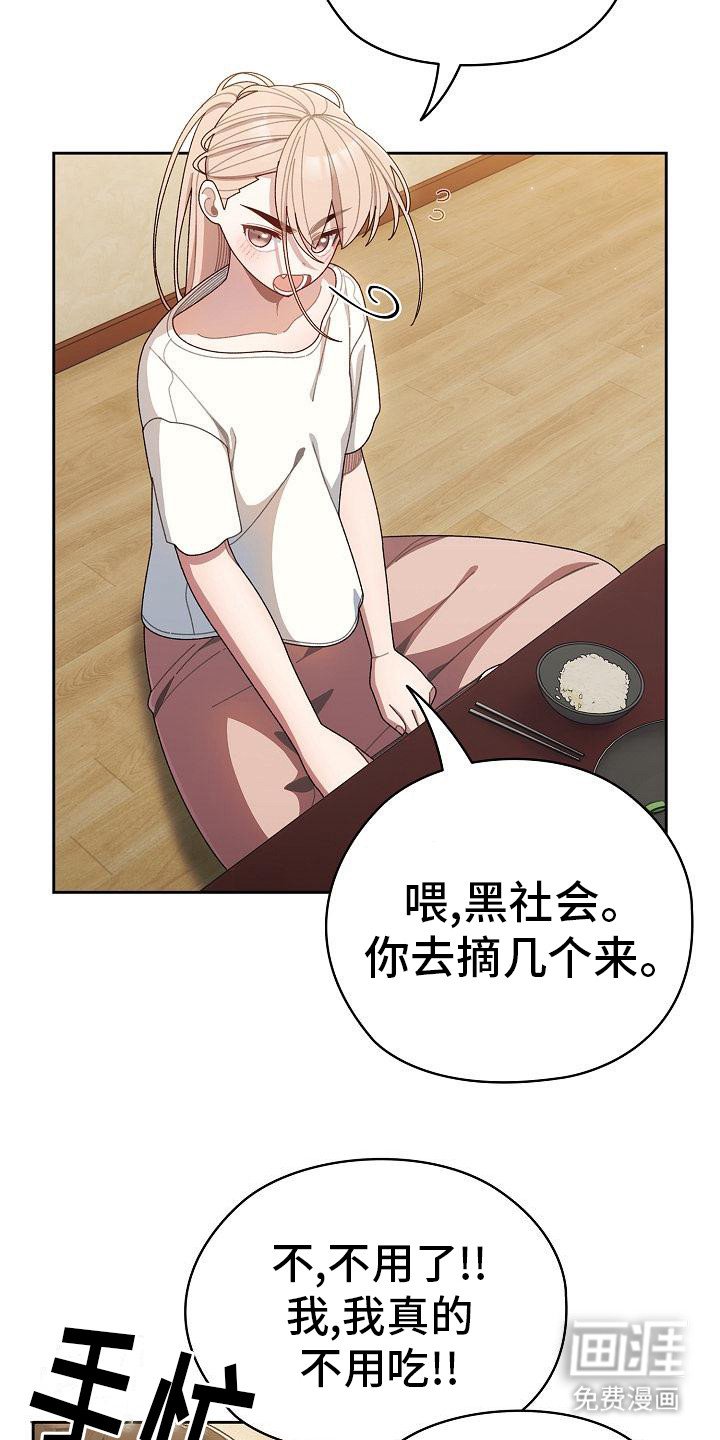 第12章：西红柿