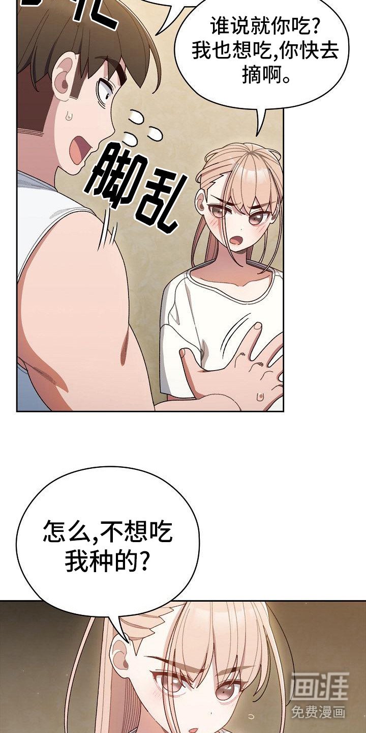 第12章：西红柿