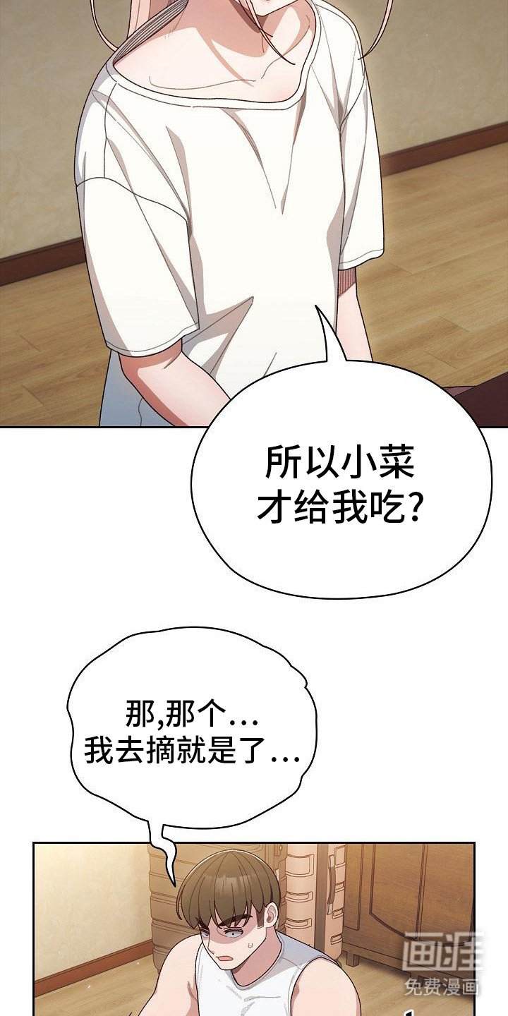 第12章：西红柿