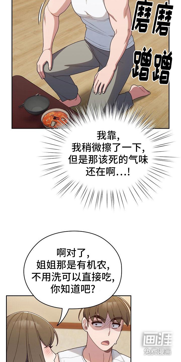 第12章：西红柿