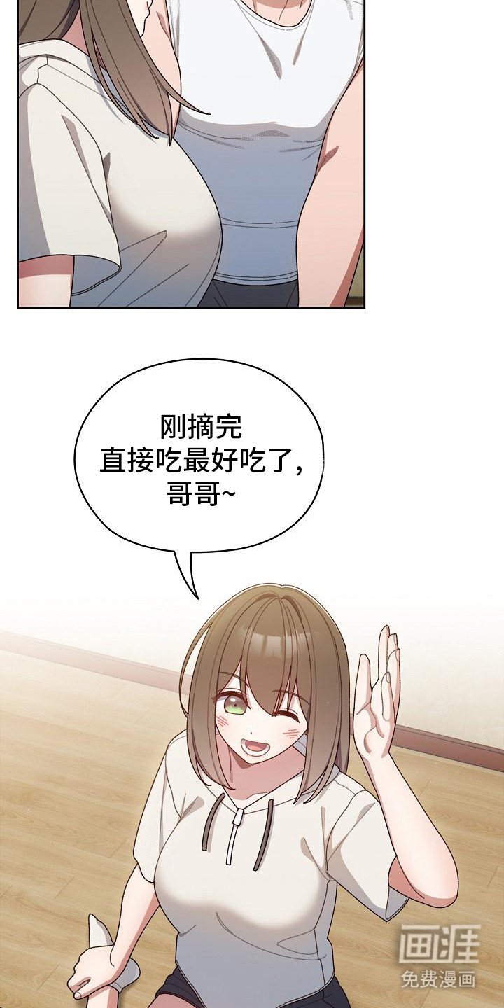 第12章：西红柿