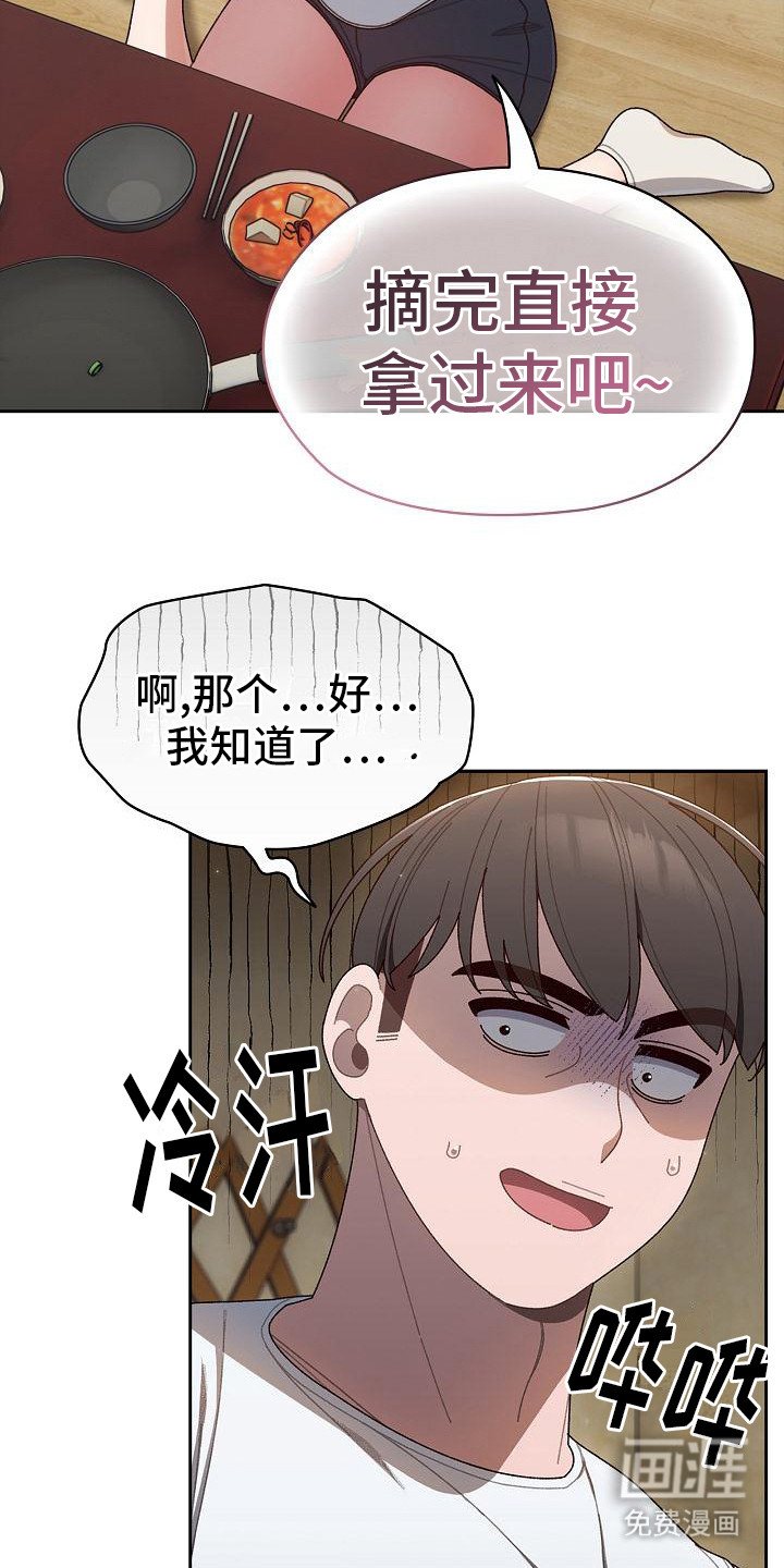 第12章：西红柿