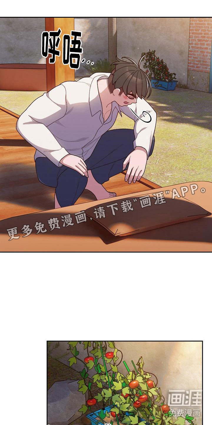 第15章：提示