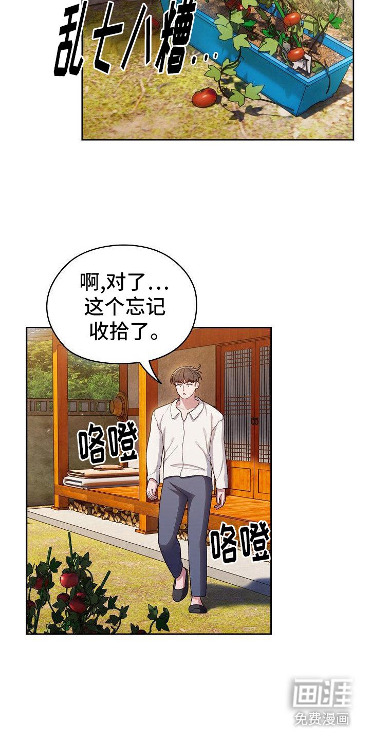 第15章：提示