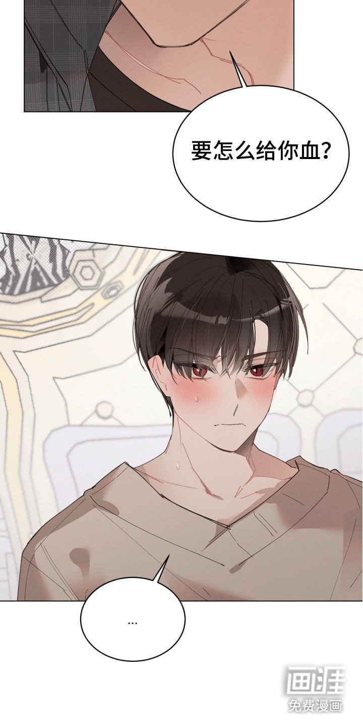 第11章：尝试