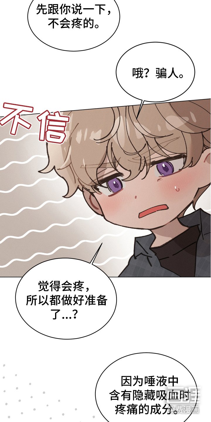 第11章：尝试