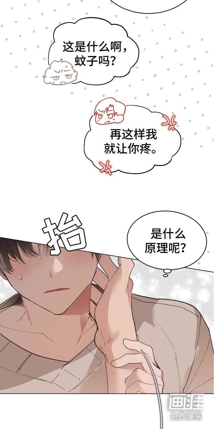 第11章：尝试