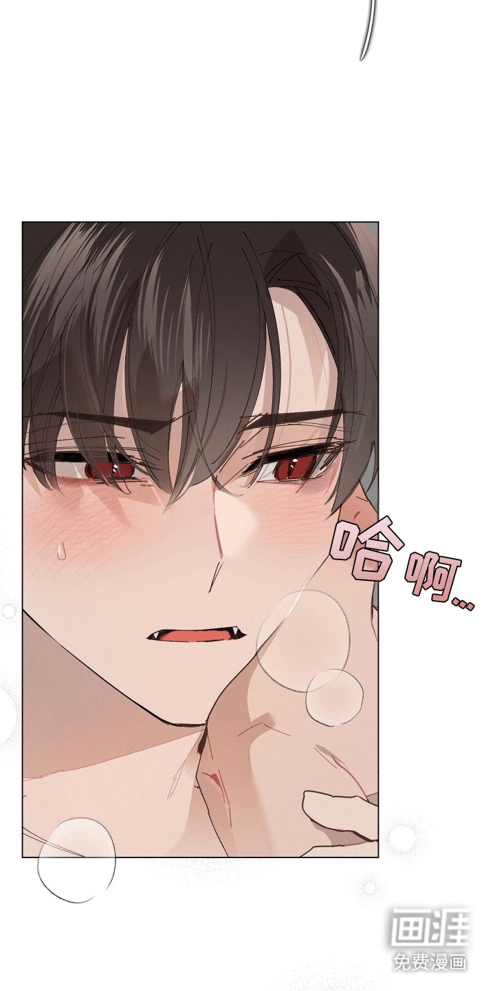第11章：尝试