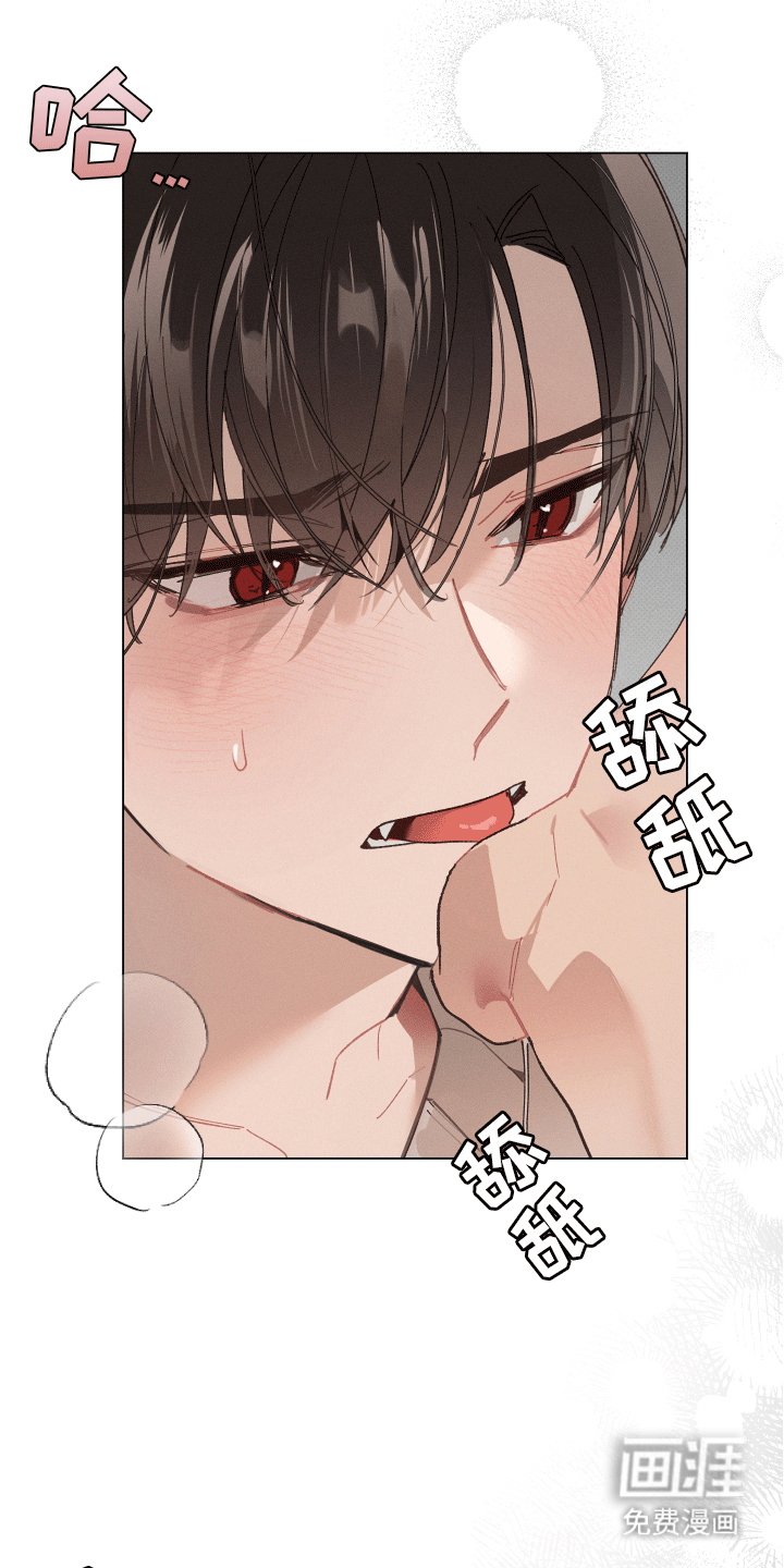 第11章：尝试