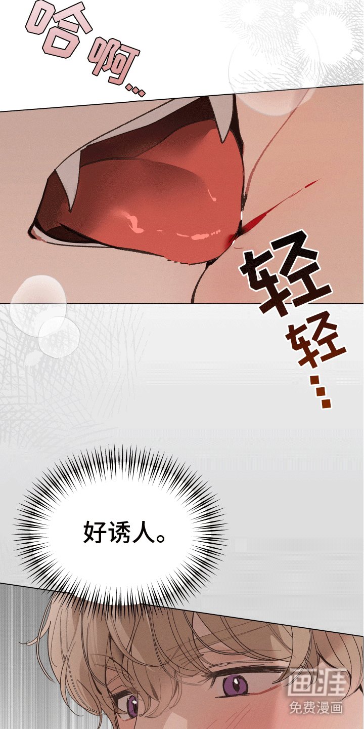 第11章：尝试