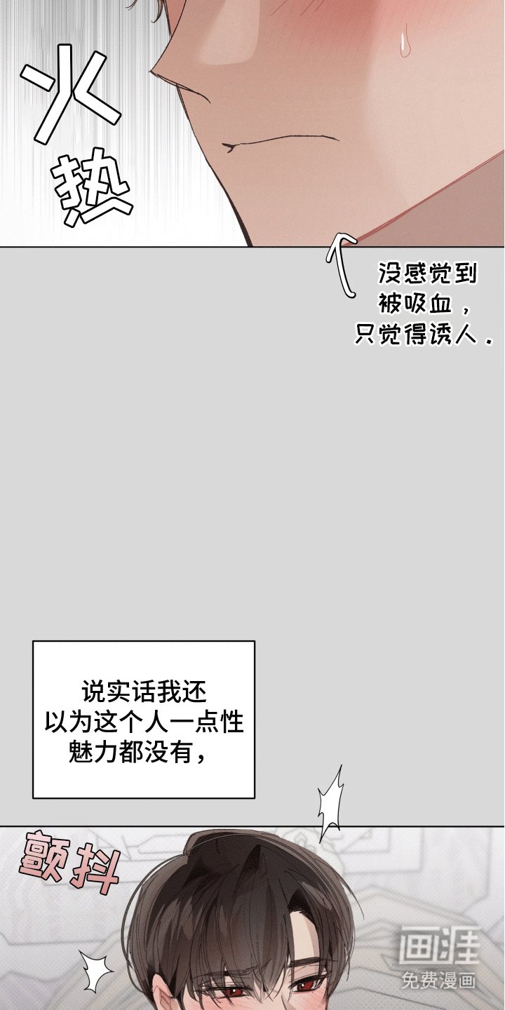 第11章：尝试