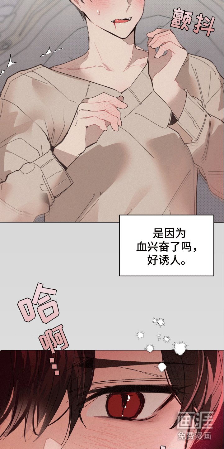 第11章：尝试