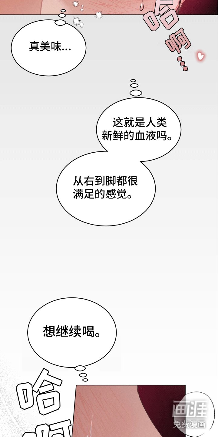 第11章：尝试