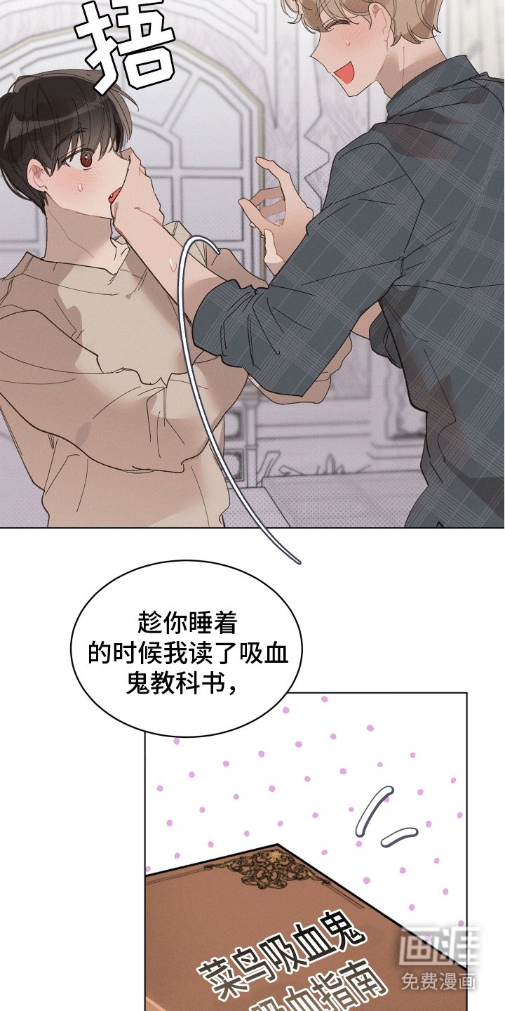 第11章：尝试