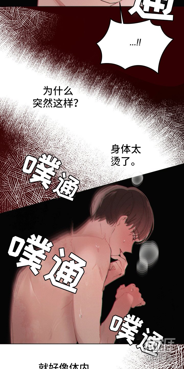 第11章：尝试