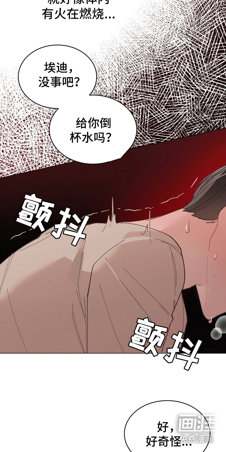 第11章：尝试