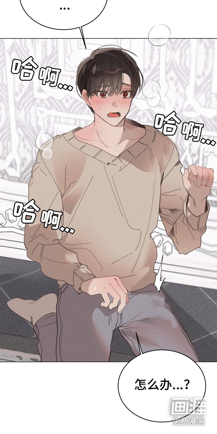 第11章：尝试