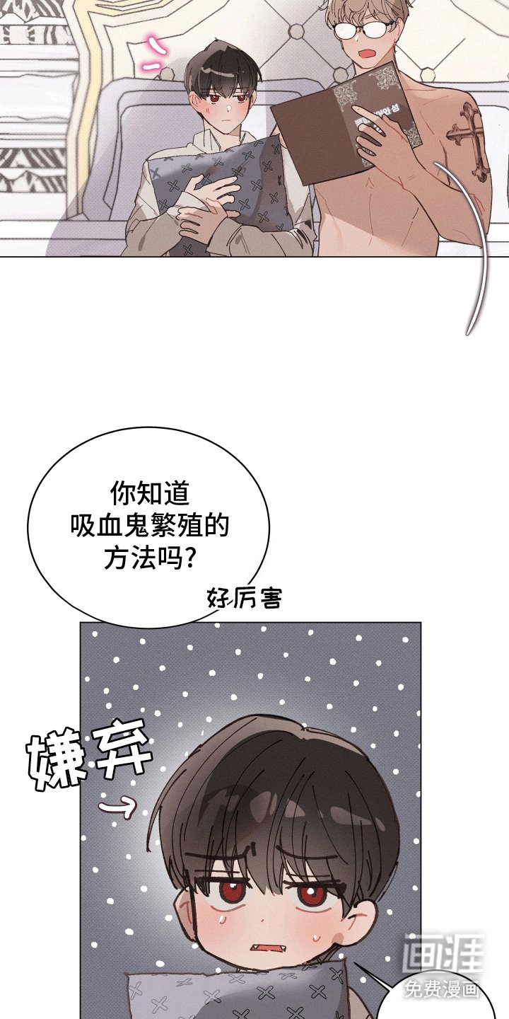第13章：抗拒