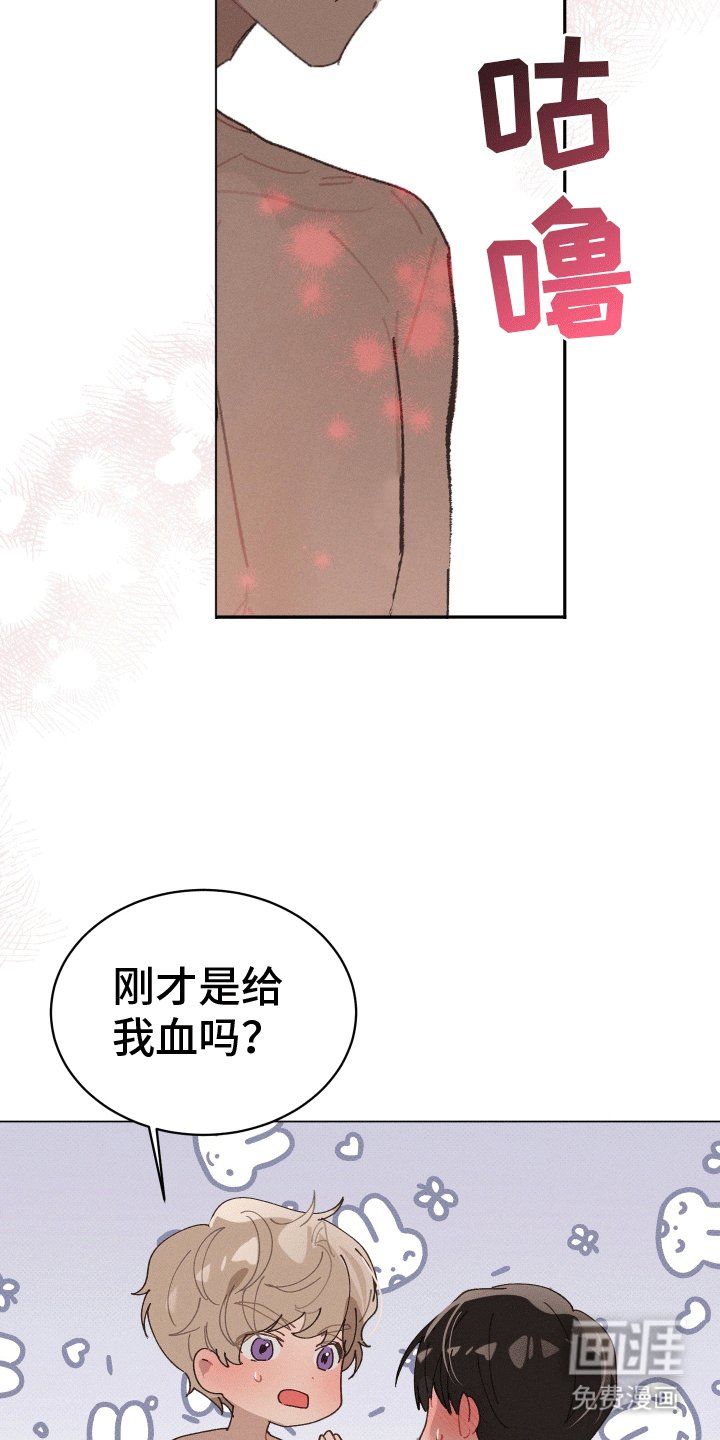 第19章：婚后生活