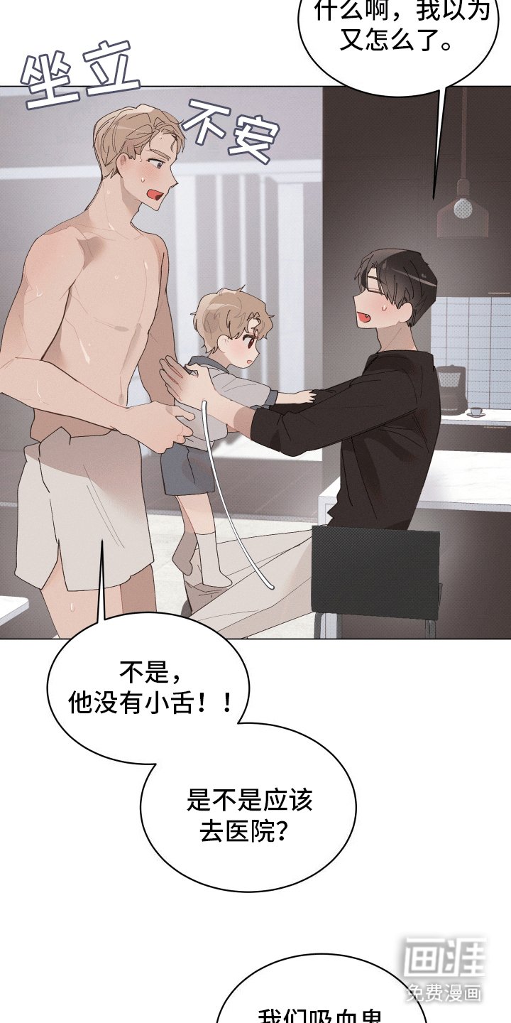 第19章：婚后生活