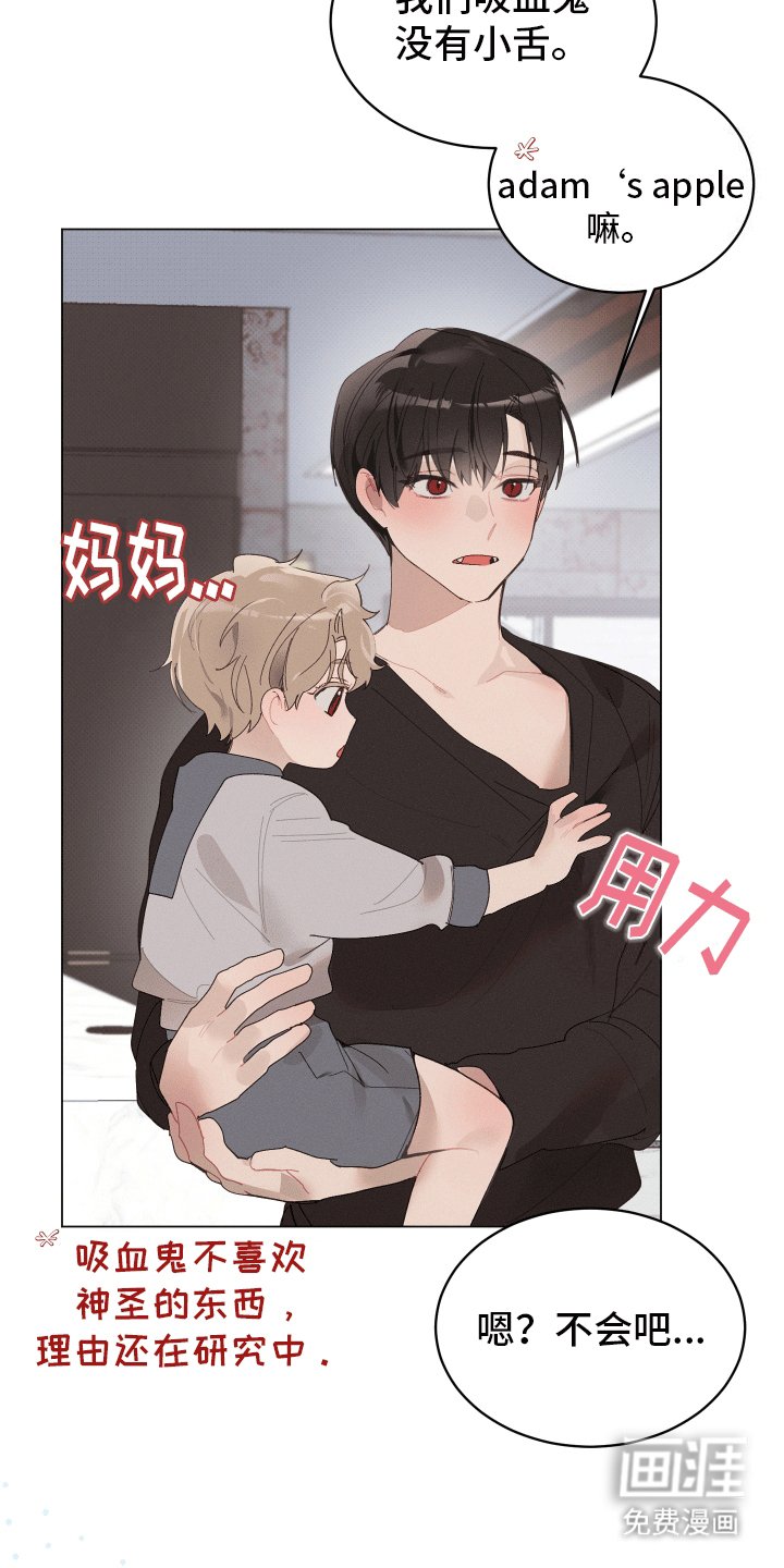 第19章：婚后生活
