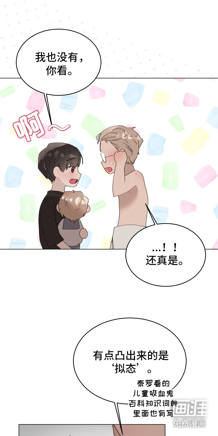 第19章：婚后生活