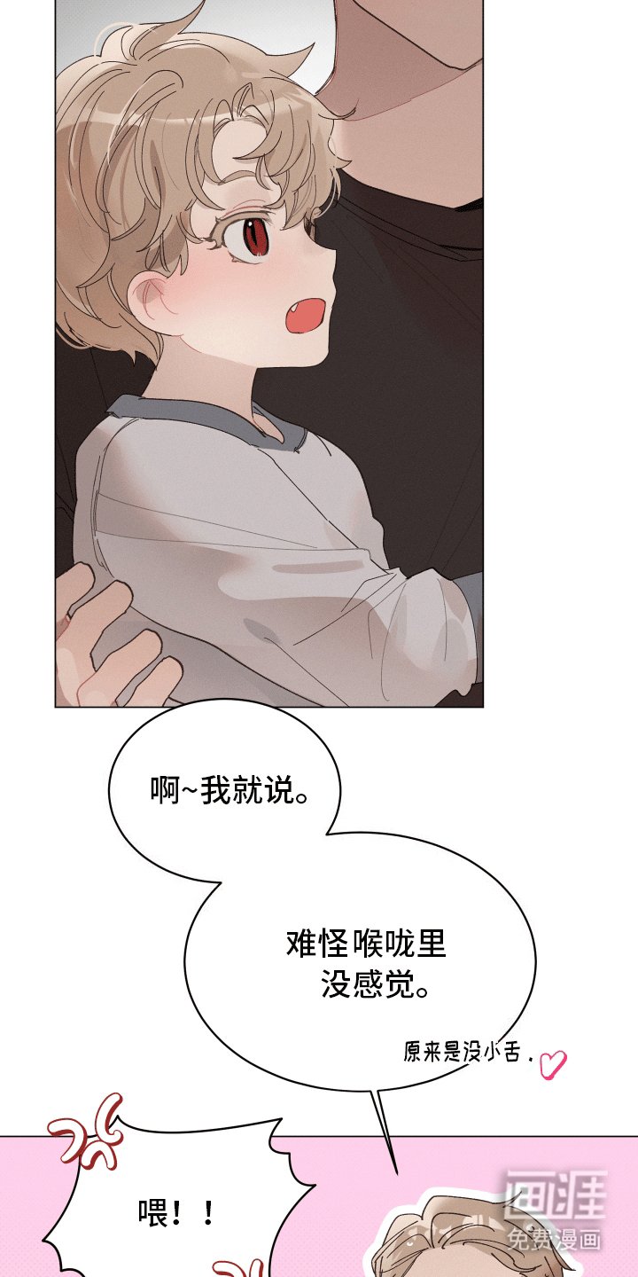 第19章：婚后生活
