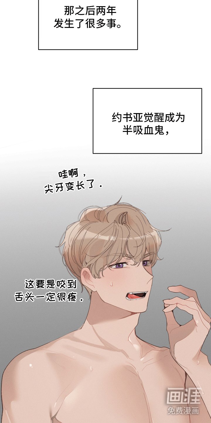 第19章：婚后生活