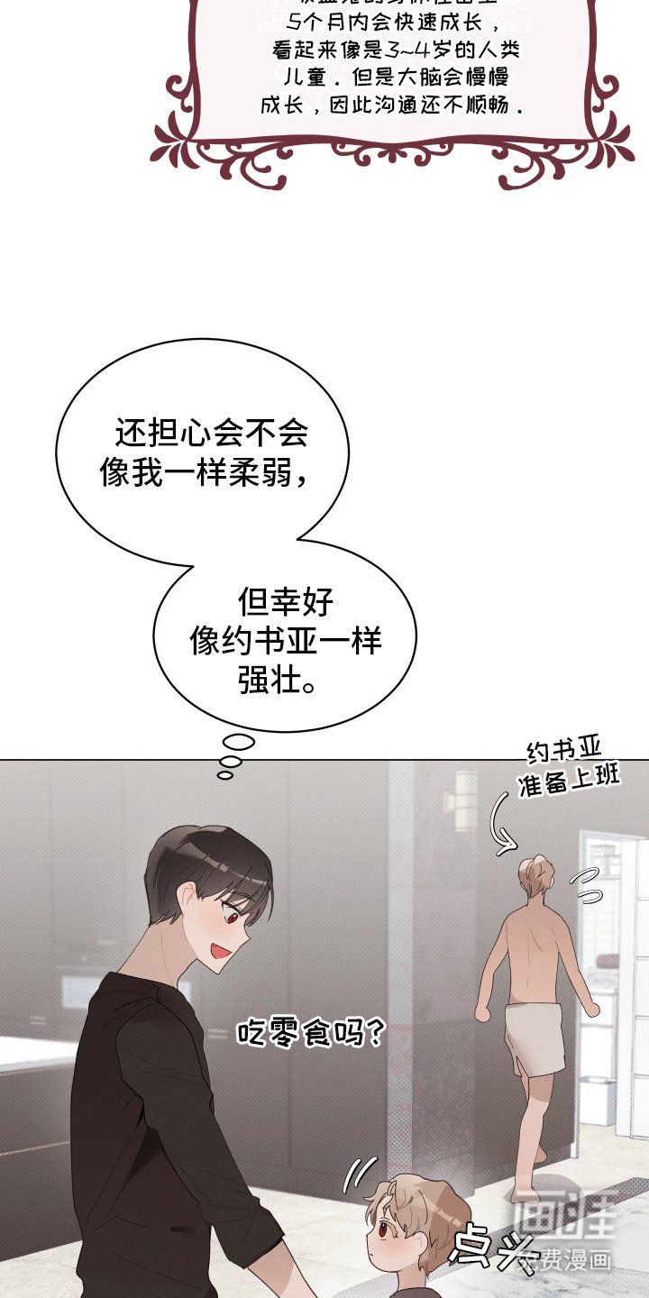 第19章：婚后生活