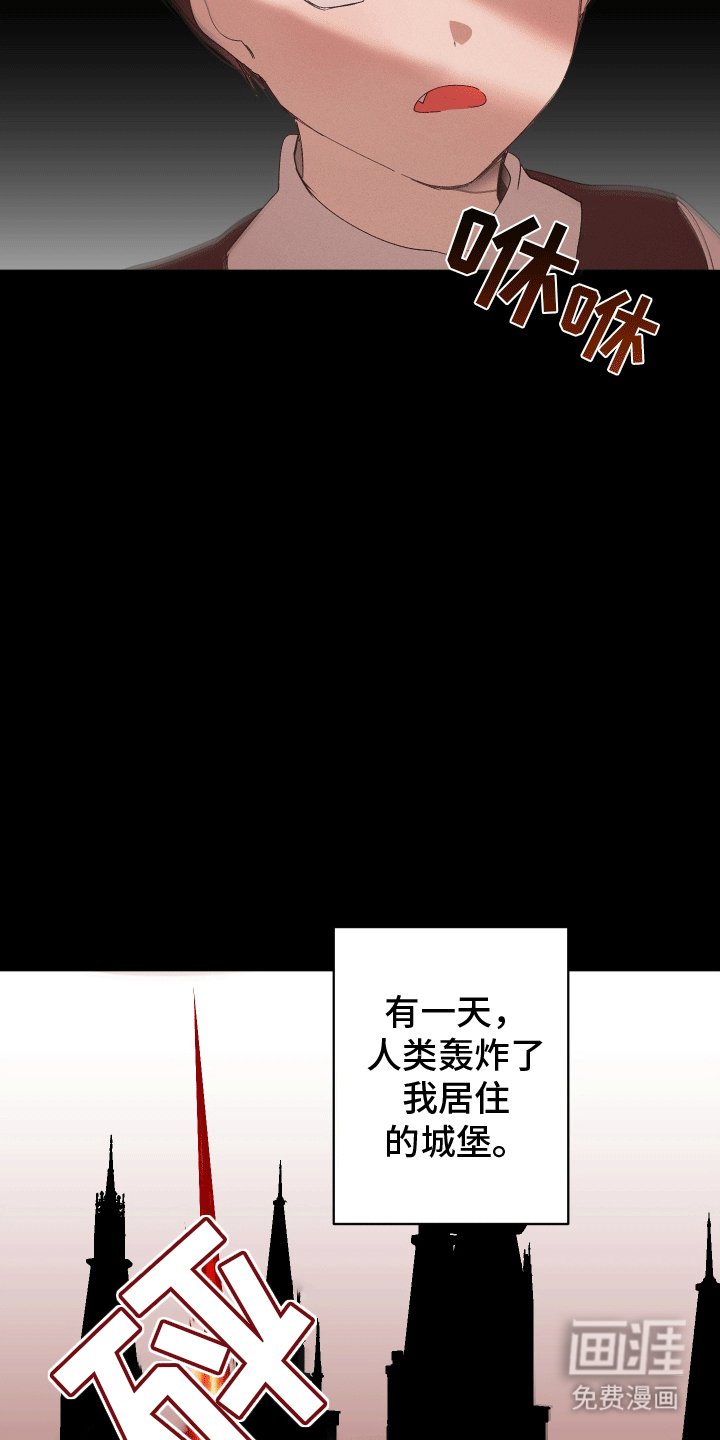 第3章：不完整的吸血鬼