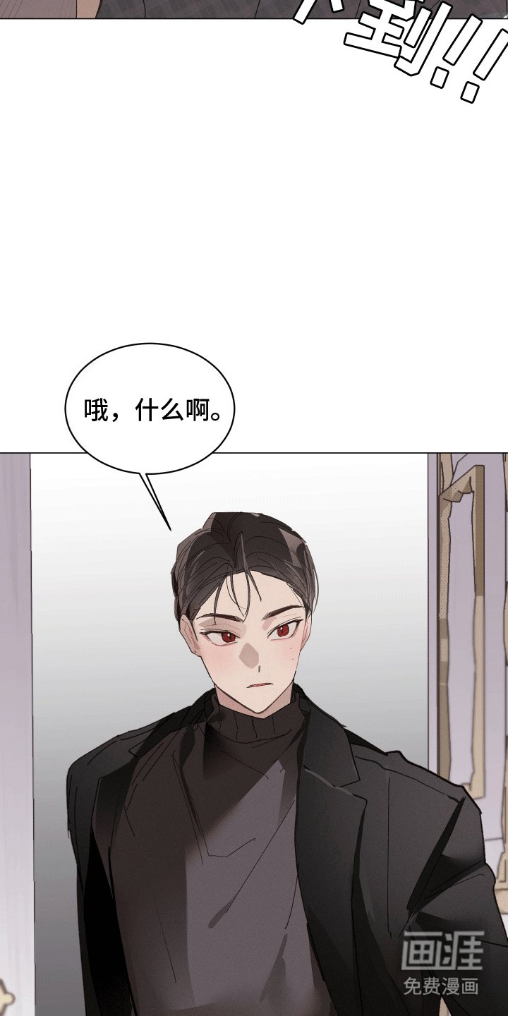 第8章：哥哥来了