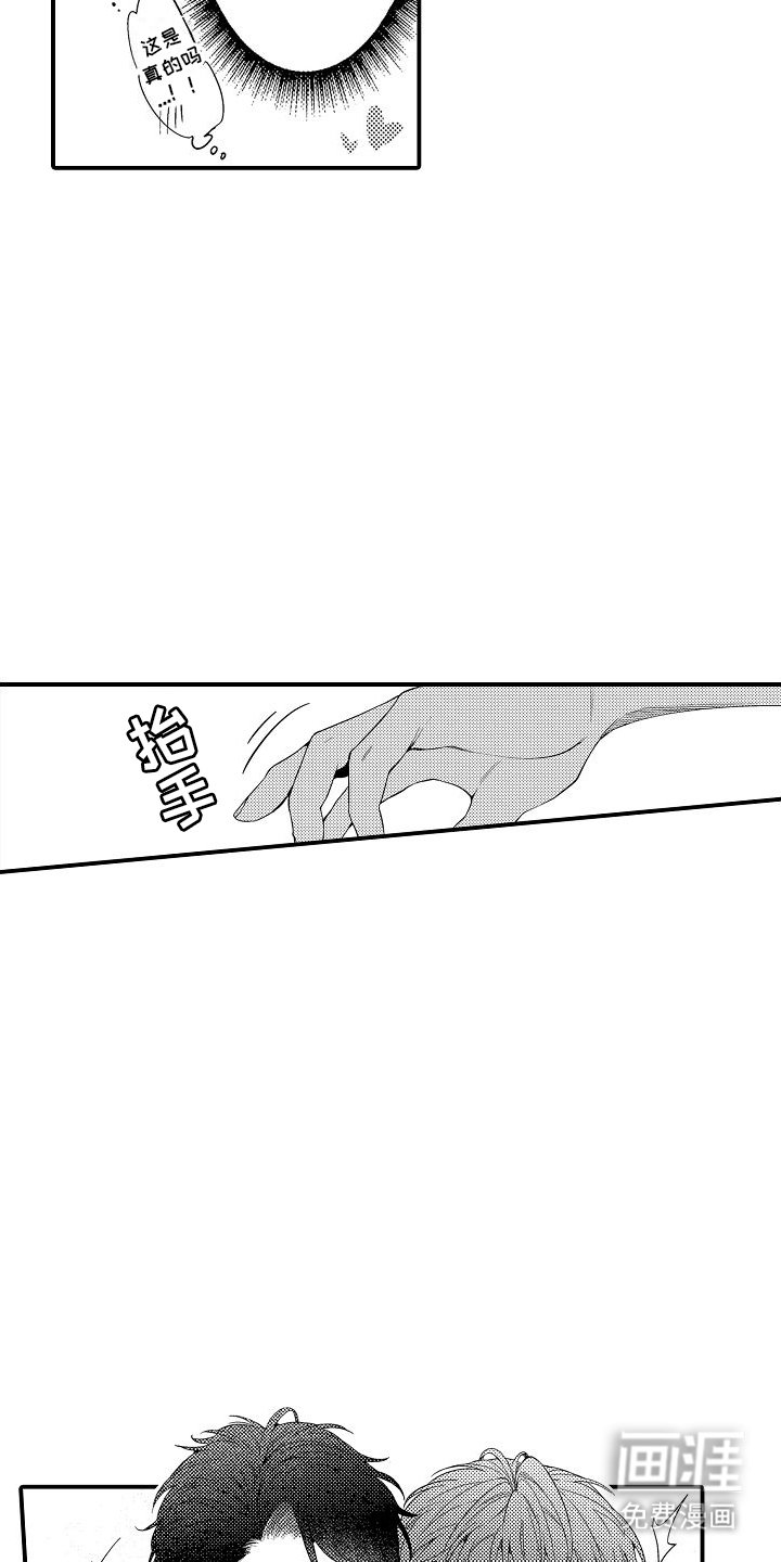 第6章：主动提出
