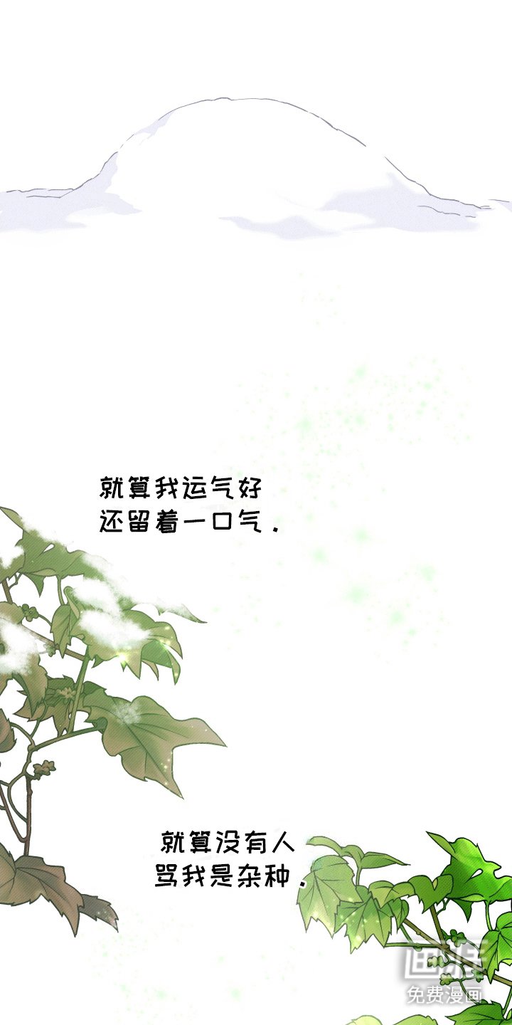 第4章：放肆