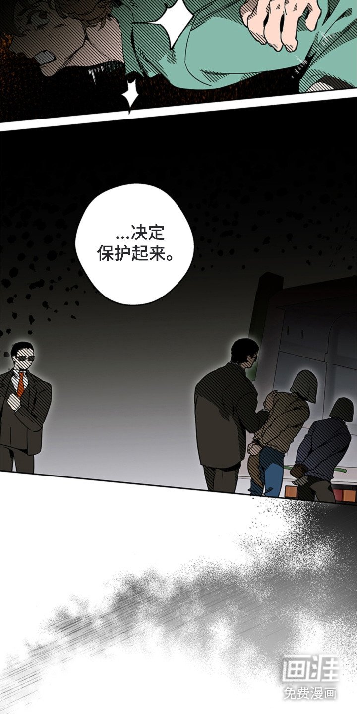 第11章：人类畜牧业