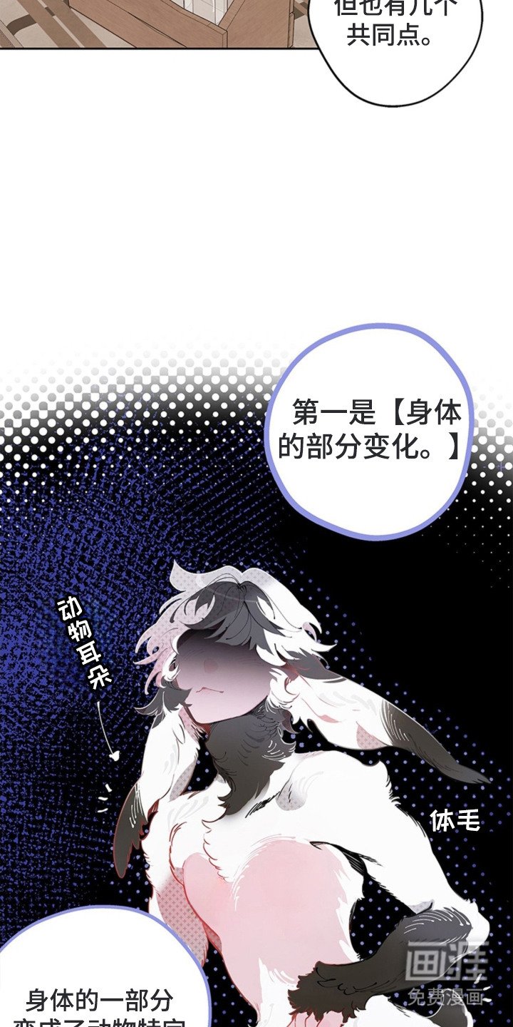 第11章：人类畜牧业