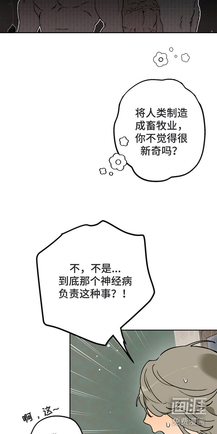 第11章：人类畜牧业