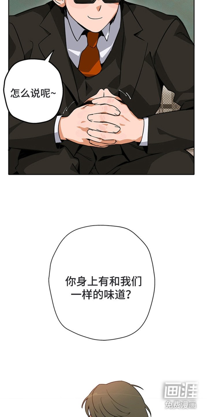 第12章：研究员