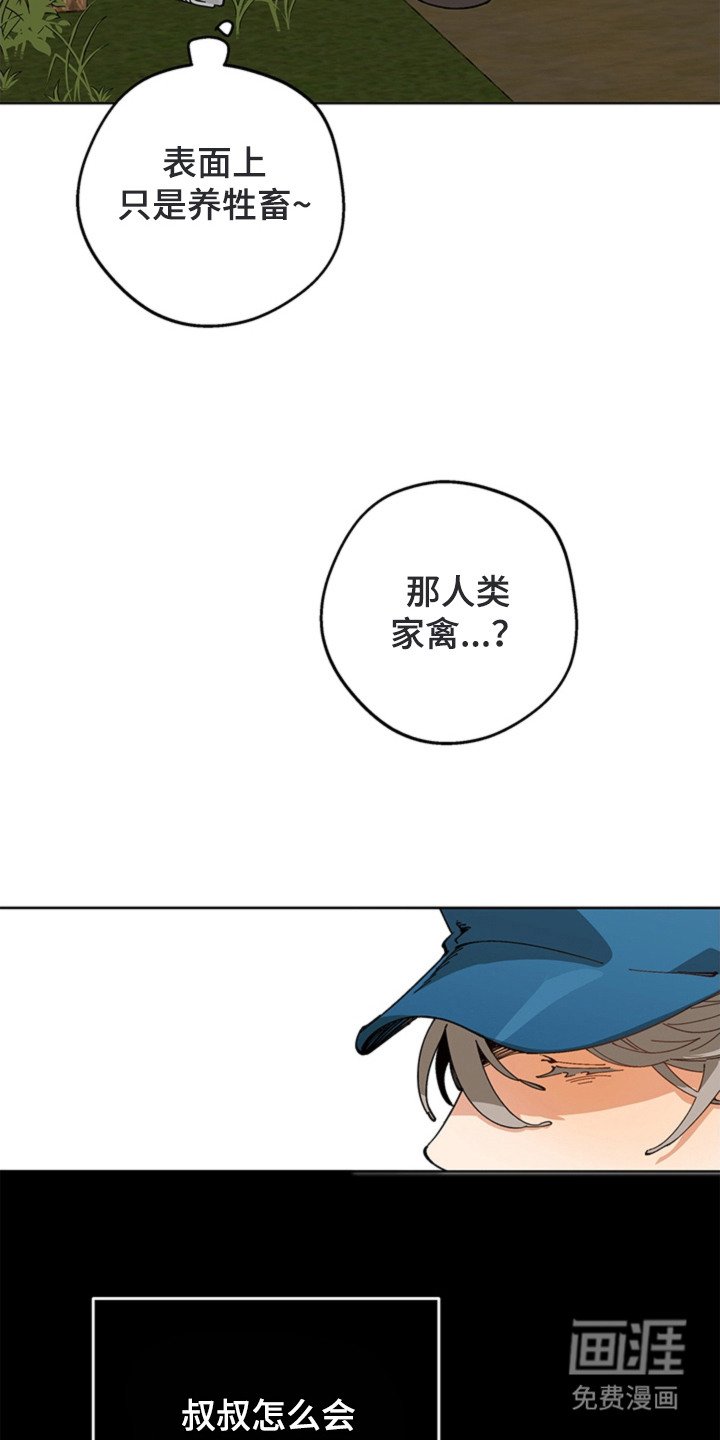 第13章：开始干活