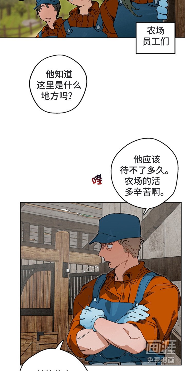 第13章：开始干活