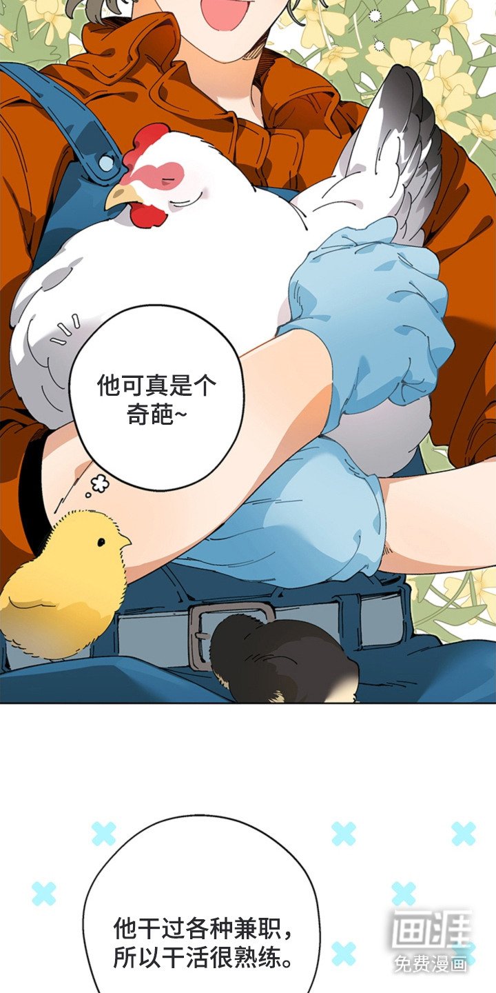 第14章：任劳任怨