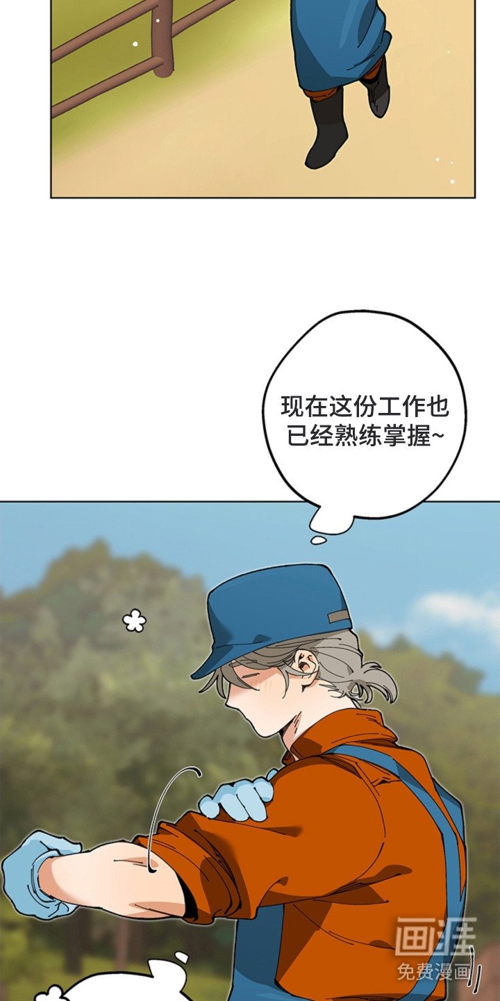 第15章：尾随