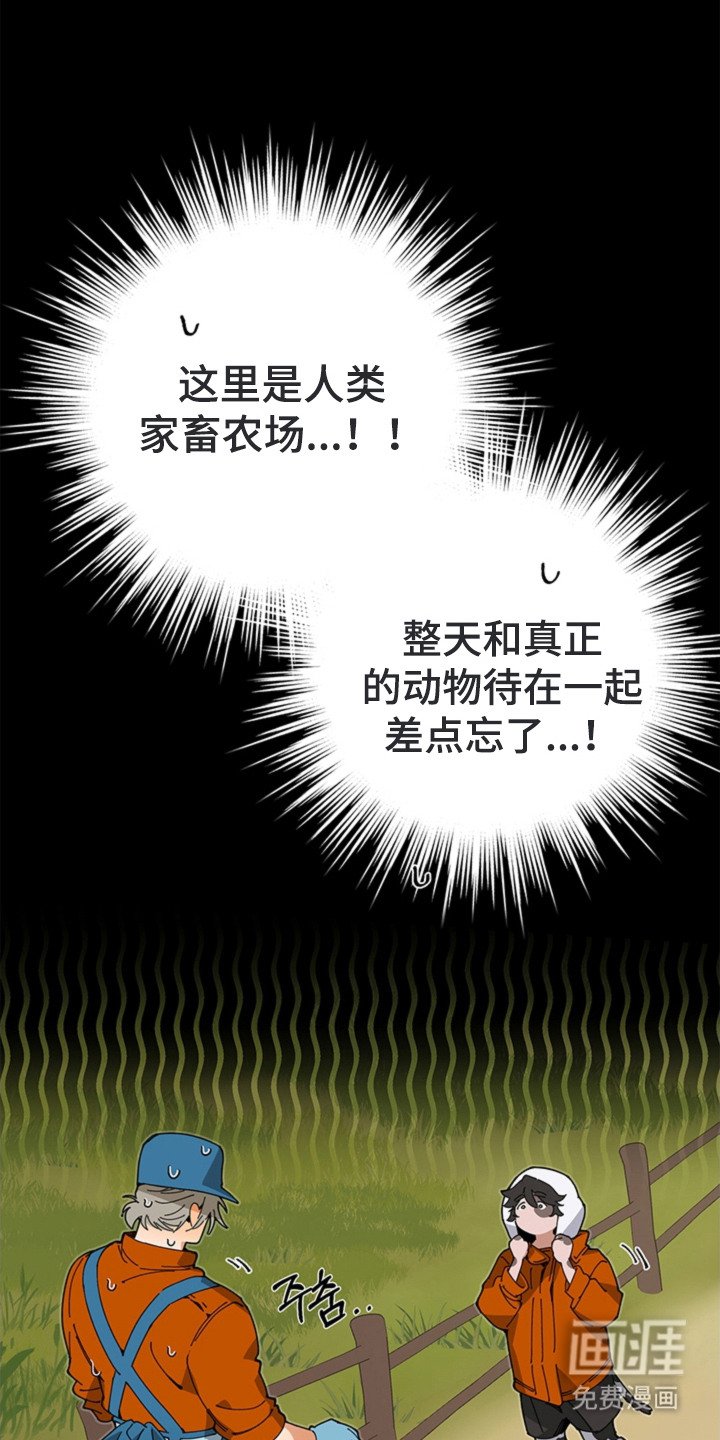 第15章：尾随