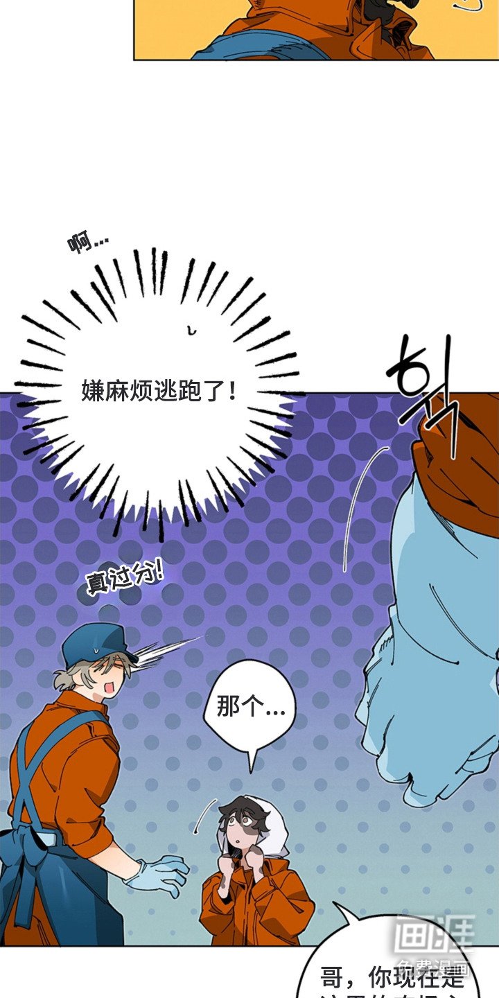 第15章：尾随