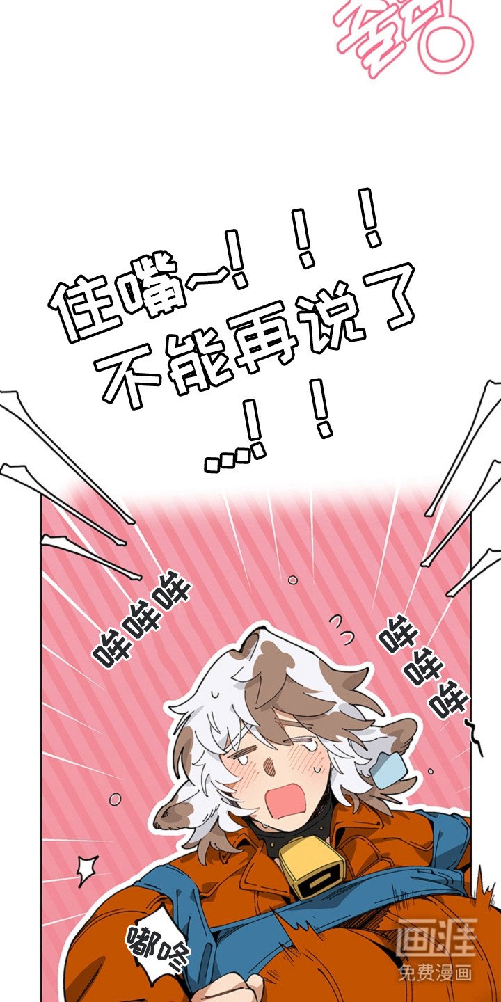 第15章：尾随