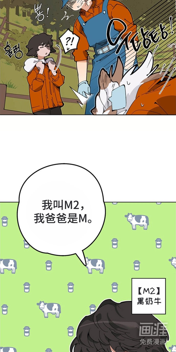 第15章：尾随