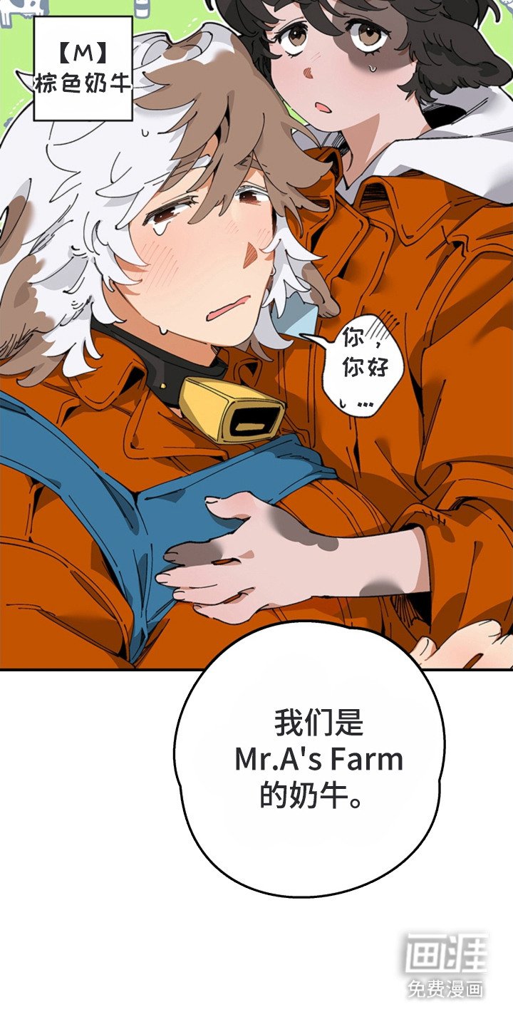 第15章：尾随