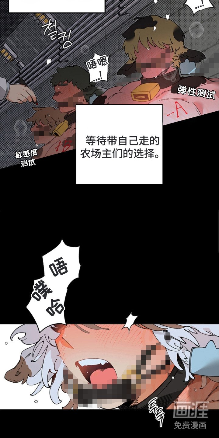 第16章：救命恩人