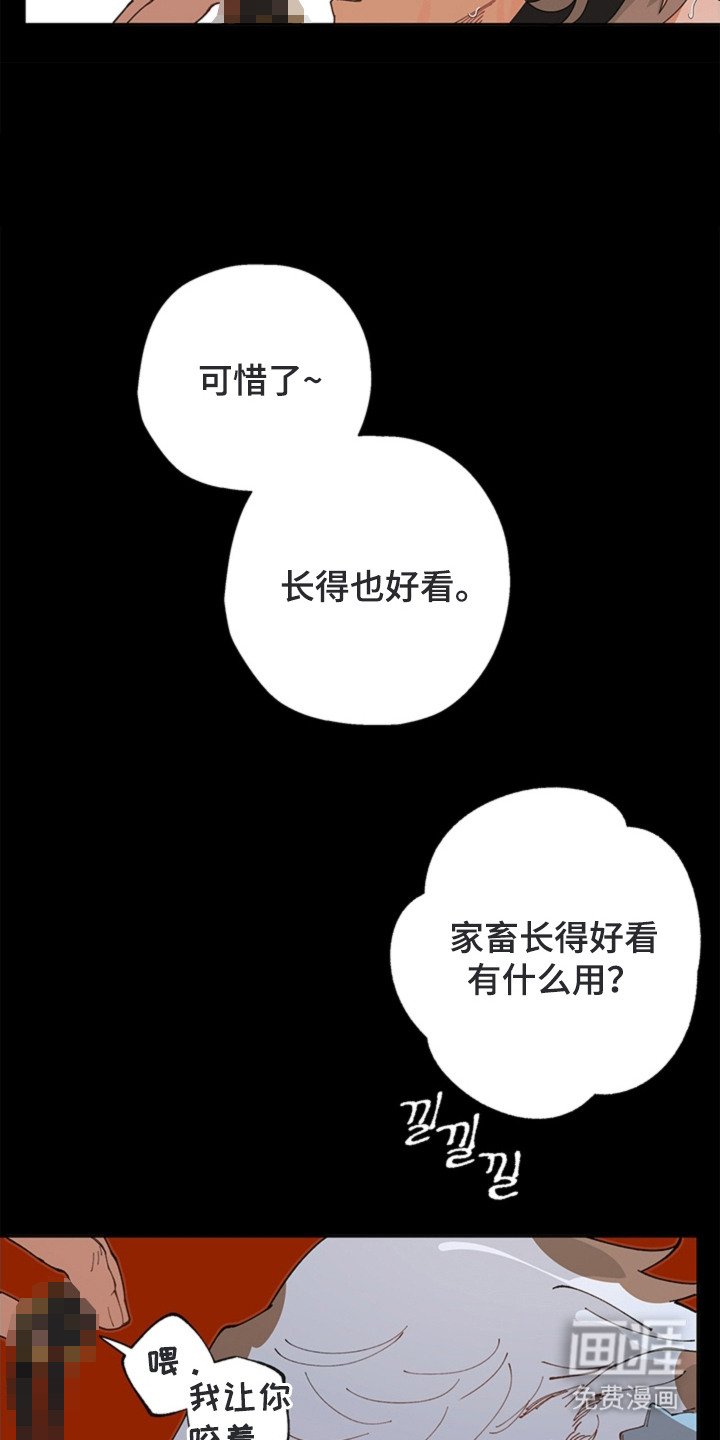 第16章：救命恩人