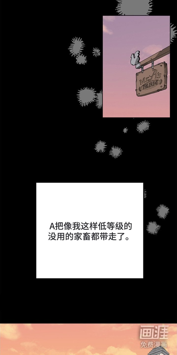 第16章：救命恩人