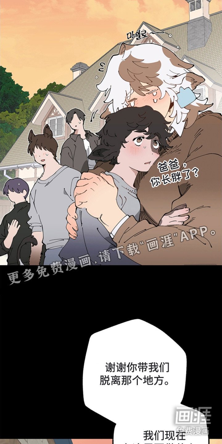 第16章：救命恩人
